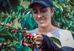 Bizi Nitelikli Yapan Nedir?